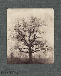 WILLIAM HENRY FOX TALBOT